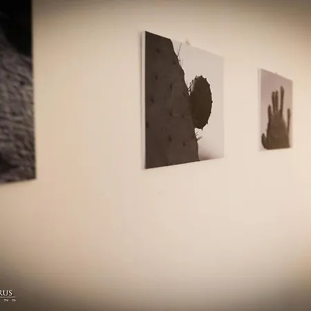 Murahera 3* مورافيرا